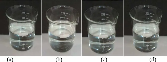 Gambar 4.2 Uji waktu floating cangkang kapsul alginat 80-120 cP 