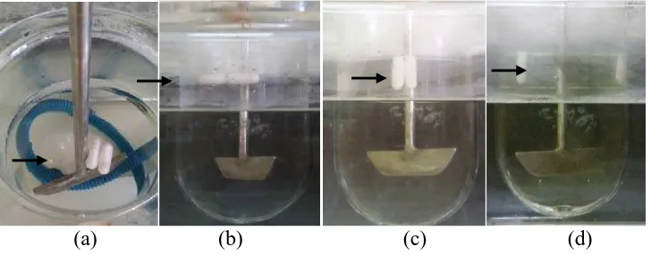 Gambar 4.6 Uji disolusidari sediaan floating dispersi padat amoksisilin menggunakan cangkang kapsul alginat 80-120 cP 