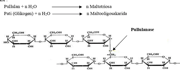 Gambar 6. Produk-produk hidrolisat pati enzimatis (Kainuma 1995) 