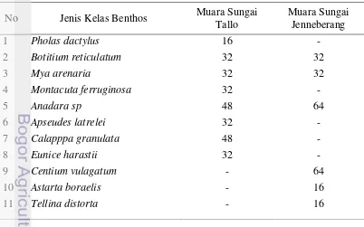 Tabel 4. Jenis dan kelimpahan makrozoobenthos yang ditemukan di muara Sungai 