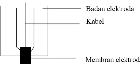 Gambar 2. Bagan elektroda membran padat  (Evans, 1991)