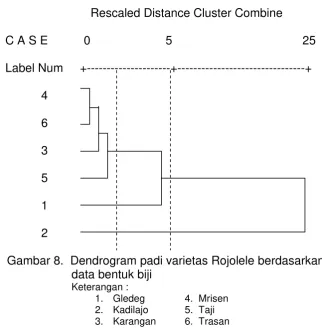 Gambar 8.  Dendrogram padi varietas Rojolele berdasarkan 