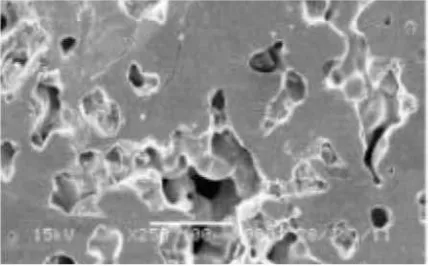 Gambar 3. Scanning Electron Micrograph dari  Layer Pertama (100%Ti)