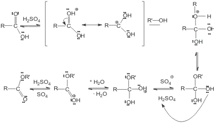 Gambar 1. Mekanisme reaksi esteriikasi dengan katalis asam sulfat 