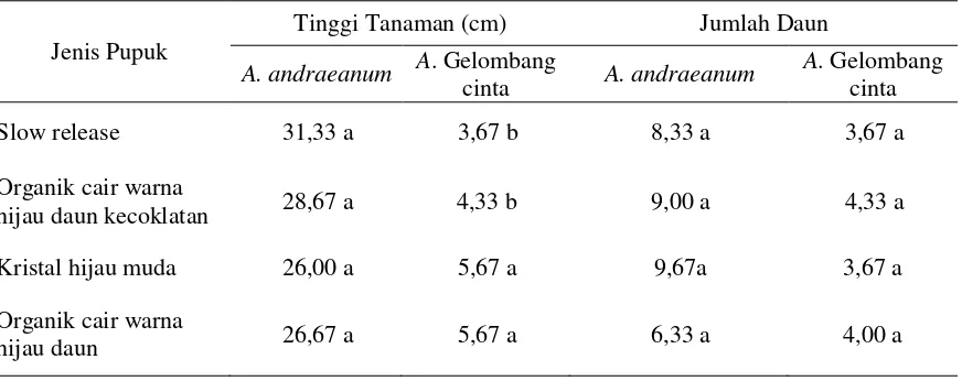 Tabel 3. Tinggi Tanaman dan Jumlah Daun A.andraeanum dan A. Gelombang cinta pada             Umur Enam Bulan yang Dipupuk dengan Empat Jenis Pupuk yang Berbeda