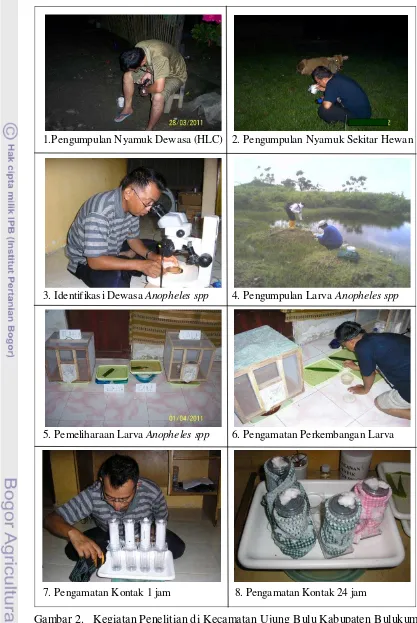 Gambar 2.   Kegiatan Penelitian di Kecamatan Ujung Bulu Kabupaten Bulukumba 