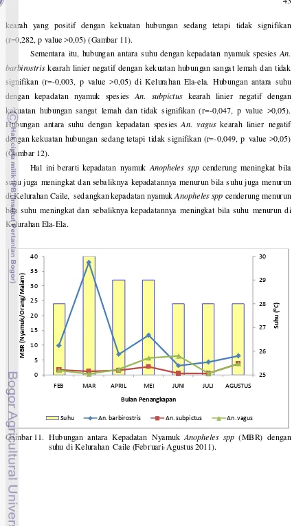 Gambar 11.  Hubungan antara Kepadatan Nyamuk Anopheles spp (MBR) dengan 