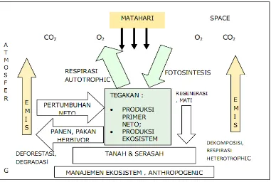 Gambar 1.  Proses siklus karbon hutan berdasarkan proses penyerapan dan emisi karbon ke atmosfer (Bahruni, 2010)
