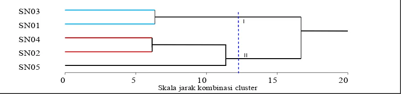 Gambar 2. Dendrogram Analisis Cluster Jagung Ketan di Desa Padang Tombuo 