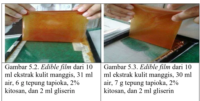 Gambar 5.2. Edible film dari 10 ml ekstrak kulit manggis, 31 ml 