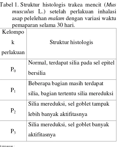 Tabel 1. Struktur histologis trakea mencit (Mus 