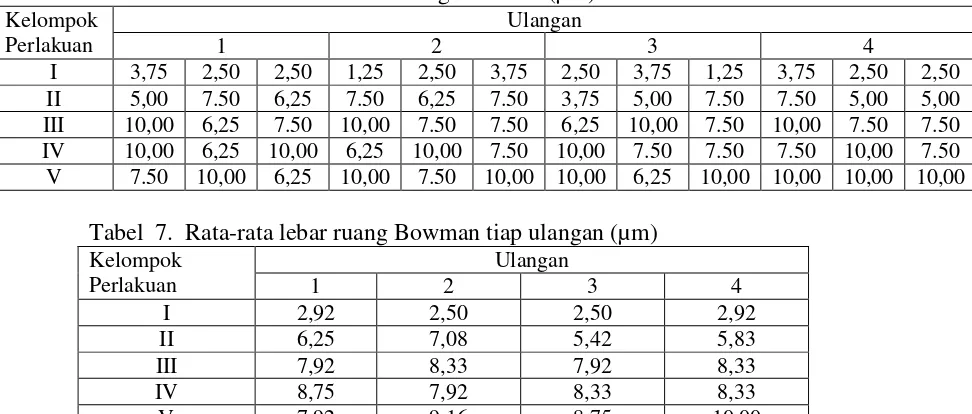 Tabel  6.  Data kuantitatif lebar ruang Bowman (µm) 
