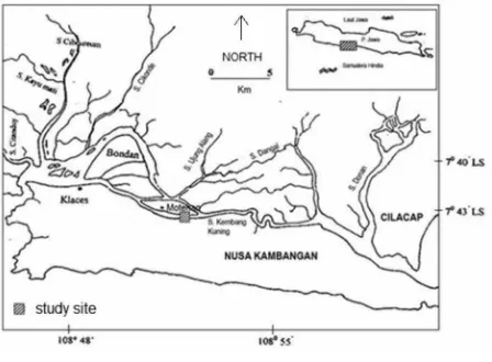 Figure 1.The Abandoned Shrimp­Pond Studied Area was at Fringing Mangrove of Nusa Kambangan, and next 