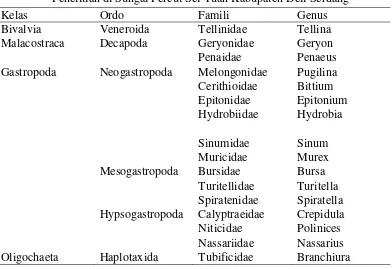 Tabel 5. Klasifikasi Makrozoobnethos yang didapatkan pada setiap stasiun Penelitian di Sungai Percut Sei Tuan Kabupaten Deli Serdang 