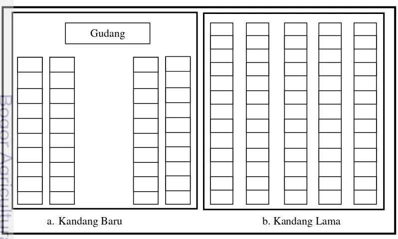 Gambar 3. Layout Kandang Pengemukan Domba dan Kambing 