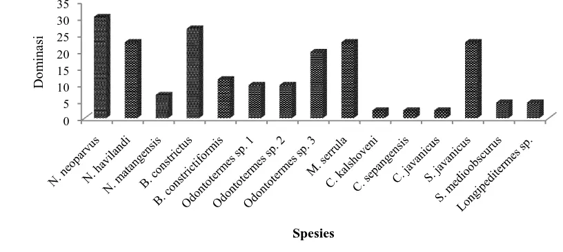 Gambar 1. Tingkat Proporsi (%) Spesies Rayap Di Lokasi Penelitian (Dihitung Berdasarkan Proporsi Total pada Hutan Sekunder dan Agroforestri) 