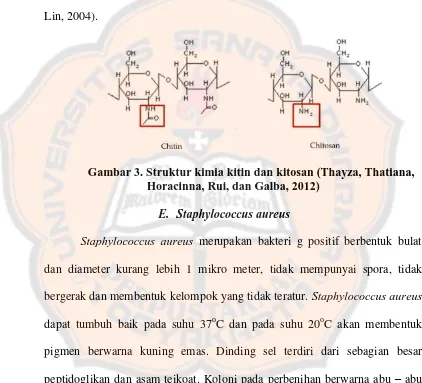 Gambar 3. Struktur kimia kitin dan kitosan (Thayza, Thatiana, Horacinna, Rui, dan Galba, 2012) 
