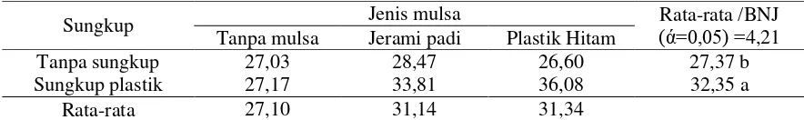 Tabel 1. Rata-rata Tinggi Tanaman (cm) pada Perlakuan Sungkup dan Jenis Mulsa pada Umur 50 HST 