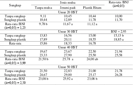 Tabel 4. Rata-Rata Panjang Helai Daun (cm) pada Perlakuan Sungkup dan Jenis Mulsa Umur 20 HST 