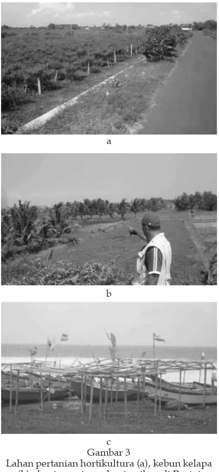 Gambar 3 cLahan pertanian hortikultura (a), kebun kelapa 