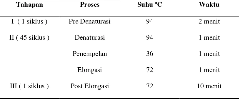 Tabel 1. Siklus, proses, suhu dan waktu dalam   amplifikasi DNA 30 aksesi andaliman 