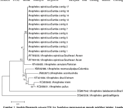 Gambar 2. Analisis filogenetik sekuen COI An. Sundaicus menggunakan metode neighbor joining