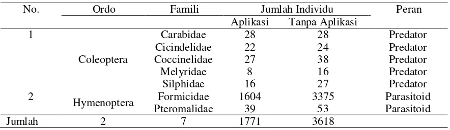 Tabel 2.  Jumlah Ordo, Famili dan Individu Serangga Musuh Alami pada Permukaan Tanah Pertanaman Bawang Merah yang Diaplikasi dan Tanpa Aplikasi B