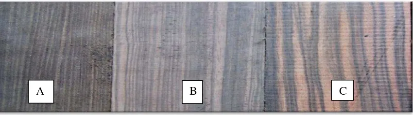 Gambar 1.  Standar penggolongan tiga kelas kualitas kayu eboni (kelas A, B dan C) 
