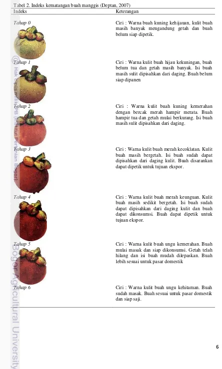 Tabel 2. Indeks kematangan buah manggis (Deptan, 2007) 