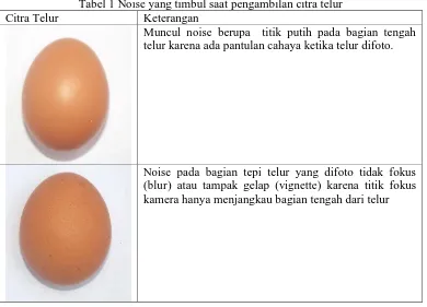 Gambar 2  Background untuk objek telur 