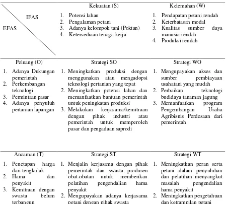 Tabel 5.   Matriks Hasil Analisis SWOT dalam Perumusan Asumsi Strategi Pengembangan Agribisnis Jagung di Kecamatan Ampana Tete 