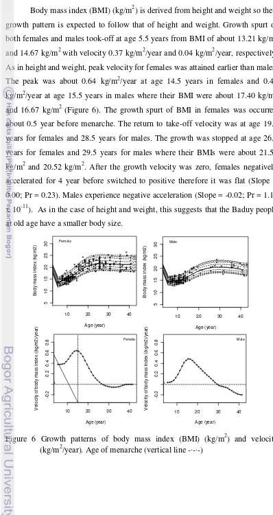 Figure 6 Growth patterns of body mass index (BMI) (kg/m2) and velocity 
