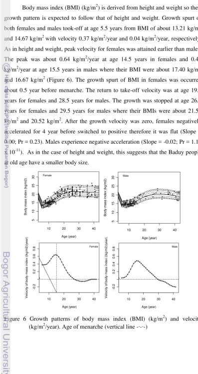 Figure 6 Growth patterns of body mass index (BMI) (kg/m2) and velocity 