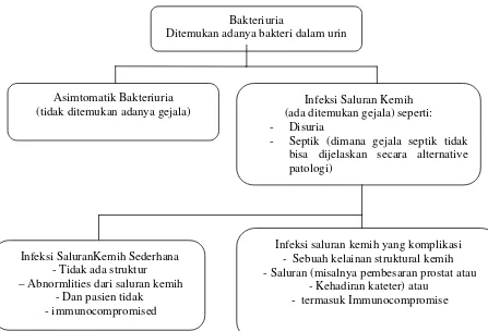 Gambar 2.1. Kriteria diagnosa Infeksi Saluran kemih (Woodford J, 2011). 