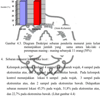 Gambar 4.3. Diagram Deskripsi sebaran penderita menurut jenis kelamin  menunjukkan jumlah yang  sama antara laki-laki dan 