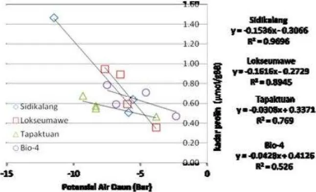 Gambar 3 : Hubungan Potensial Air Daun dengan Kadar Prolin tanaman nilam 