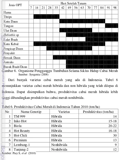 Gambar 6.  Organisme Pengganggu Tumbuhan Selama Siklus Hidup Cabai Merah 