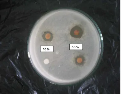 Gambar hasil uji aktivitas antibakteri sediaan salep ekstrak                       etanol cacing  tanah (Peryonix sp.) terhadap bakteri                            Staphylococcus aureus menggunakan pencadang kertas