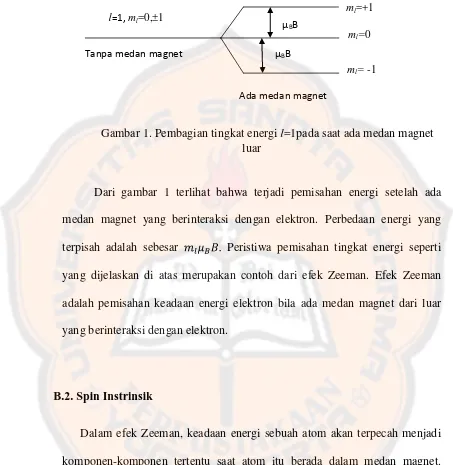 Gambar 1. Pembagian tingkat energi l=1pada saat ada medan magnet 