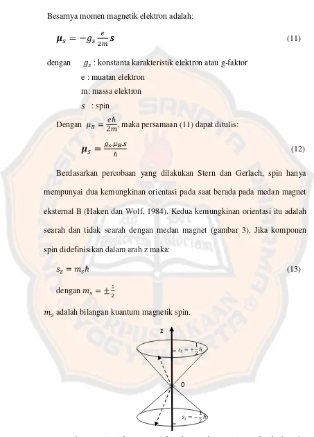 Gambar 3. Spin elektron memiliki 2 kemungkinan orientasi ketika berada di medan magnet 