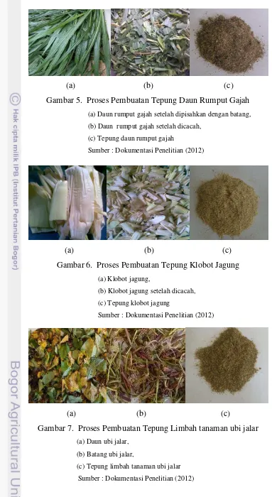 Gambar 5.  Proses Pembuatan Tepung Daun Rumput Gajah 