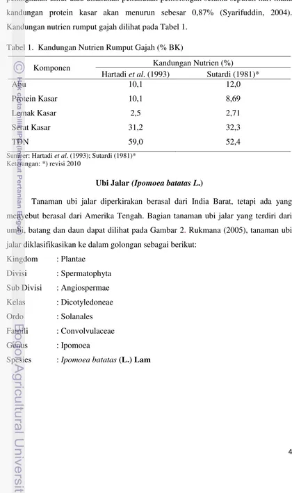 Tabel 1.  Kandungan Nutrien Rumput Gajah (% BK) 