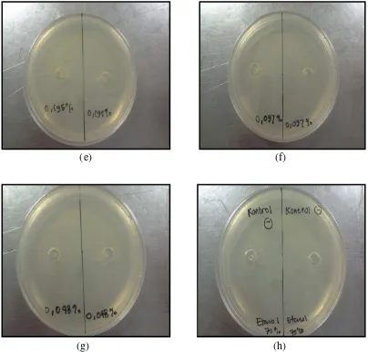 Gambar 18. Koloni bakteri pada media MHA dengan konsentrasi (a) 3,125% (b) 1,562% (c) 0,781% (d) 0,39% (e) 0,195%  (f) 0,097%  (g) 0,048% (h) Kontrol negatif 