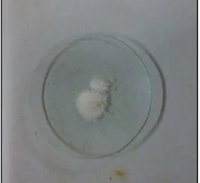 Gambar 7. 10 ml aquadest dipanaskan 