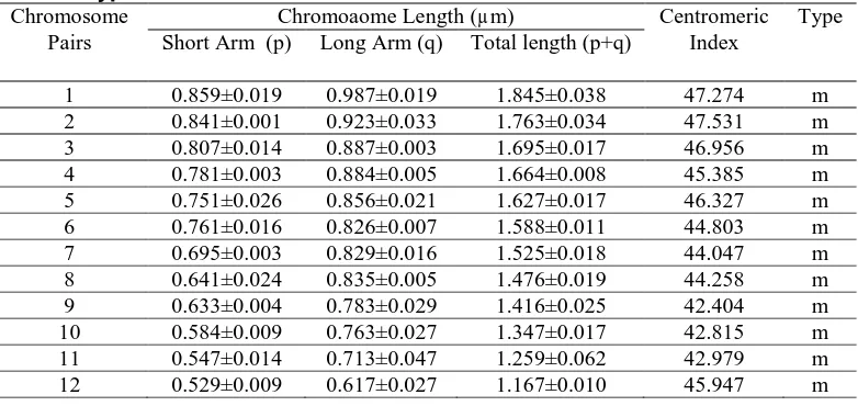 Table 2. Chromosome length, centromeric index, and chromosome 