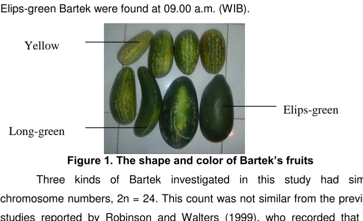 Figure 1. The shape and color of Bartek’s fruits 