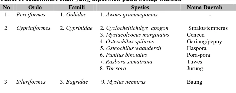 Tabel 5. Klasifikasi Ikan yang diperoleh pada Setiap Stasiun No Ordo Famili Spesies 