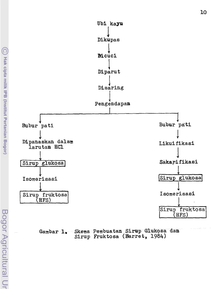 Gambar  1.  Skema  Pembuatan  S i r u p   Glukosa  dan  S i r u p   Fruktosa  ( B a r r e t ,   1984) 