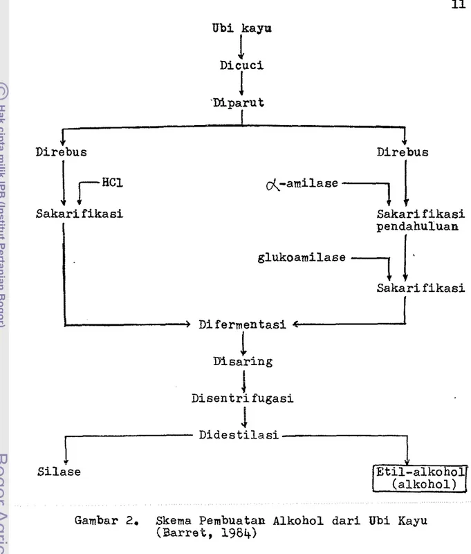 Gambar  2.  Skema  Pembuatan  Alkohol  d a r i   Ubi  Kayu  ( B a r r a t ,   1984) 