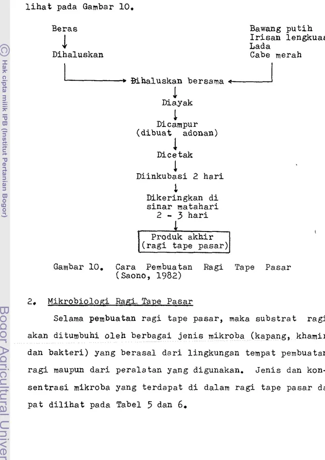 Gambar  10.  Cara  Pembuatan  Ragi  Tape  P a s a r   (  Saono,  1982) 